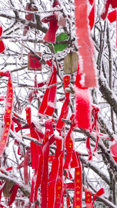 游客雪地里挂的红色平安福雪中的平安福视频