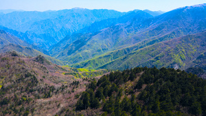 神农架5A风景区五彩斑斓的森林航拍合集4K69秒视频