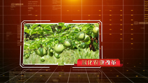 生态农业宣传展示AE模板74秒视频