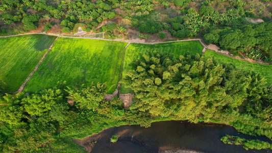 航拍乡村田地景观视频