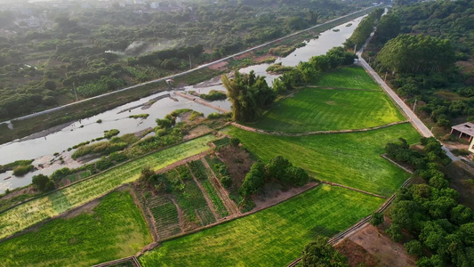 航拍乡村溪流景观视频