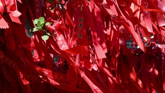 寺庙寺院祈福祈愿的红飘带和许愿树实拍素材视频