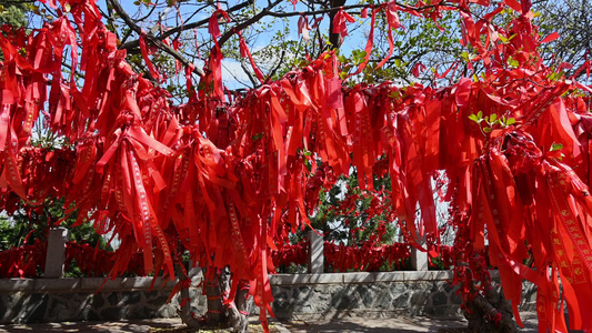 寺庙寺院祈福祈愿的红飘带和许愿树实拍素材视频