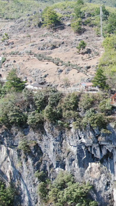 祖国大好河山山川森林植物竖屏航拍视频