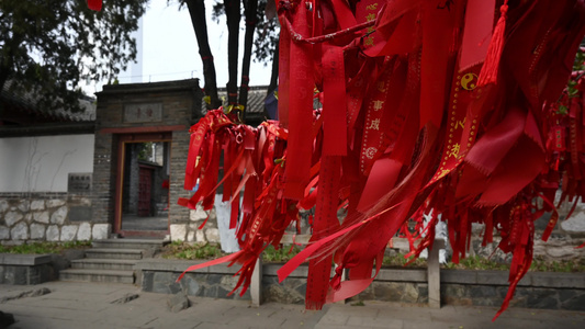 寺庙寺院祈福祈愿的红飘带和许愿树实拍素材视频