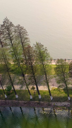 航拍夕阳下的武汉东湖绿道小桥和户外运动的人30秒视频