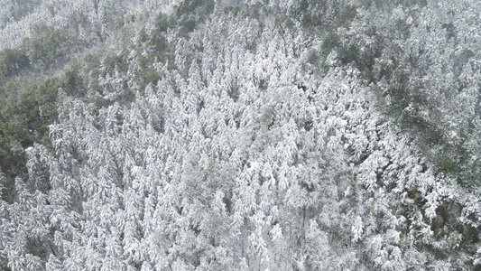 航拍冬天雪景视频