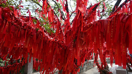 寺庙寺院祈福祈愿的红飘带和许愿树实拍素材视频