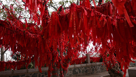 寺庙寺院祈福祈愿的红飘带和许愿树实拍素材视频