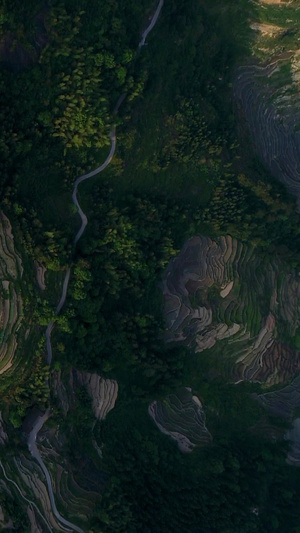 高清航拍湖南紫鹊界国家自然与文化双遗产4A景区八卦冲观景台29秒视频