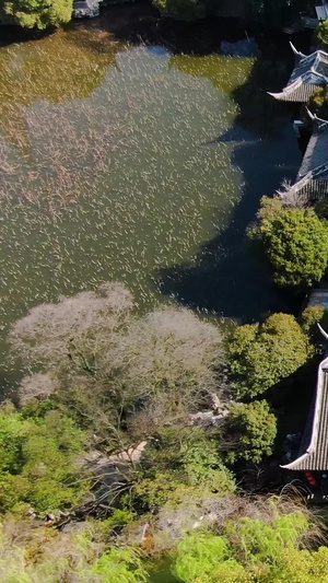 俯拍5A湖州南浔古镇景区景区小莲庄视频旅游目的地71秒视频