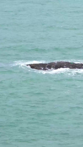 海浪 合集世界环保日视频