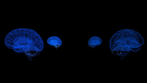 4k全息粒子大脑10秒视频
