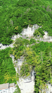 湖北神农架5A景区竖屏航拍视频