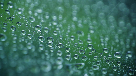 高清唯美微距雨滴雨水升格视频