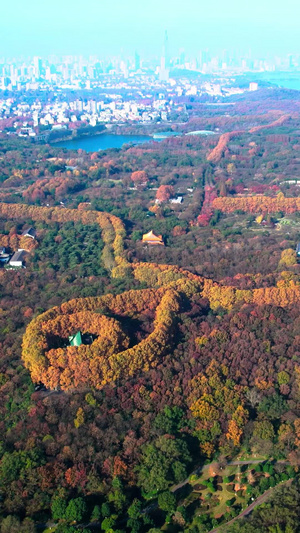 航拍秋天风景南京中山陵美龄宫39秒视频