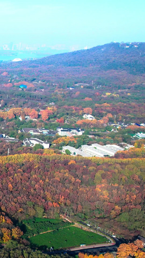 航拍秋天风景南京中山陵美龄宫39秒视频