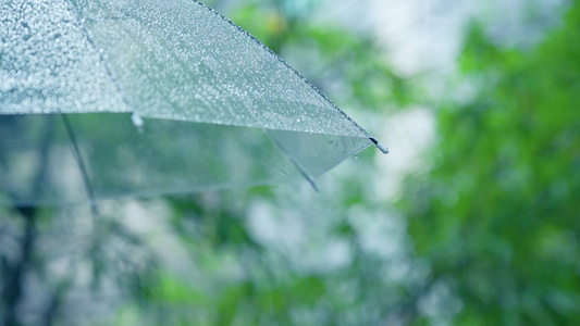 高清唯美下雨天雨滴滑落空镜头 视频