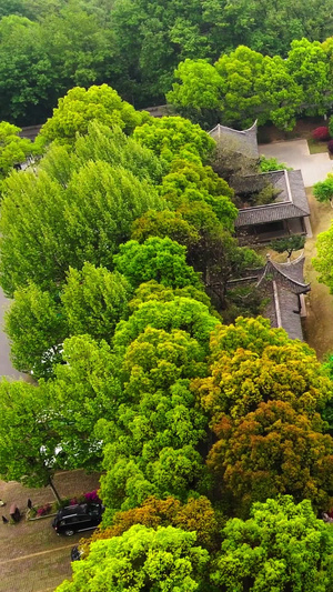 航拍镇江5A级景区镇江三山之一金山自然风景20秒视频