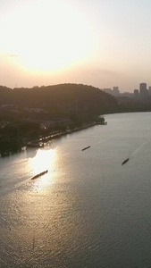 夕阳下划龙舟航拍端午节视频