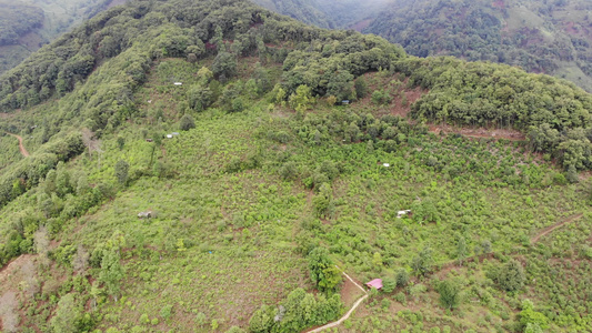 茶农在茶山上采茶航拍视频