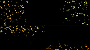 一组银杏叶粒子动画11秒视频
