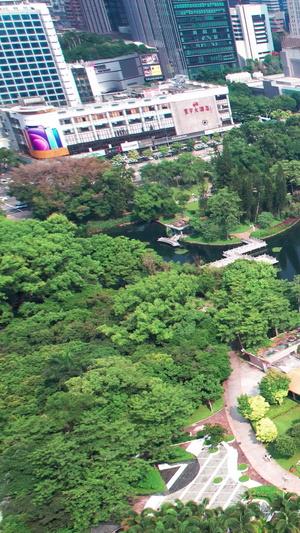 深圳荔枝公园城市公园航拍航拍公园51秒视频