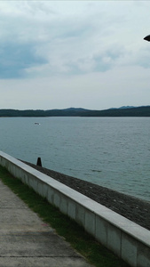 湖北洈水风景区4A景区竖屏航拍视频