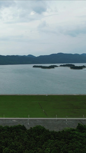 湖北洈水风景区4A景区竖屏航拍视频