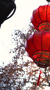 实拍新春春节屋檐下的红灯笼视频