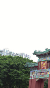 重庆市人民大礼堂网红打卡地视频