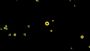 飘散飘落菊花树叶粒子修饰动画30秒视频