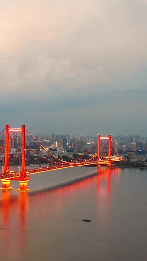 航拍武汉鹦鹉洲长江大桥夜景航拍中国43秒视频