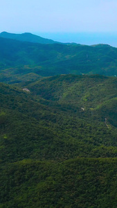 深圳南澳海边大山山林航拍树林森林视频