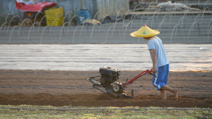 4K耕地的农民15秒视频