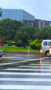 实拍下雨天打伞路口斑马线等红绿灯车流街景车流视频