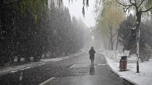 冬天大雪纷飞一个人行走在街道上的慢镜头视频