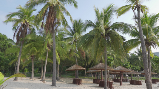 海南省三亚市海边沙滩椰树风光视频