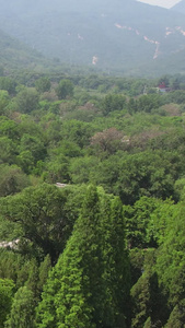 航拍5A河南登封少林寺景区伽蓝殿视频风景名胜视频