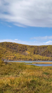 内蒙古草原湿地秋季景色实拍视频内蒙古旅游视频