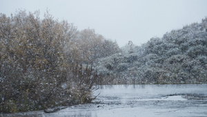 4K升格下雪天13秒视频