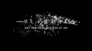 唯美粒子演绎字幕条Edius模板24秒视频