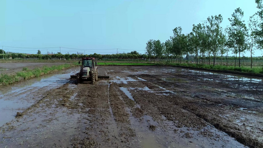 航拍大型拖拉机在水稻田平整土地视频