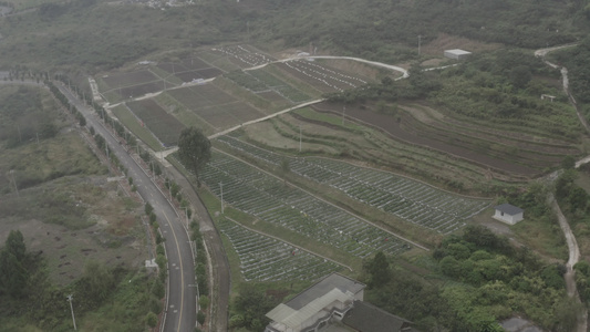 贵州省贵阳市智能化农业大棚蔬菜灌溉视频