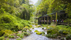 宜昌5A景区三峡人家龙进溪沿着溪流航拍4K84秒视频