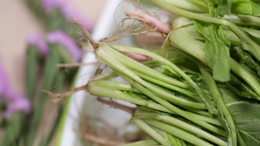 新鲜蔬菜时蔬菠菜健康 视频