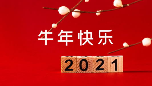 简洁喜庆新年祝福快闪字幕模板视频