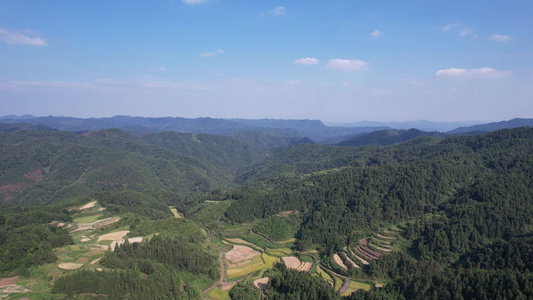 高山梯田秋收金黄稻田航拍 视频