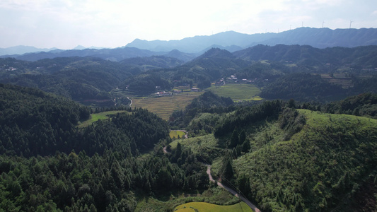 高山梯田秋收金黄稻田航拍 视频