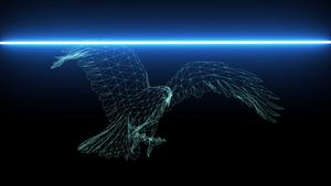 3d扫描全息飞翔的老鹰19秒视频